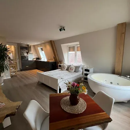 Apartment Stylish With Beamer Near The Station *
