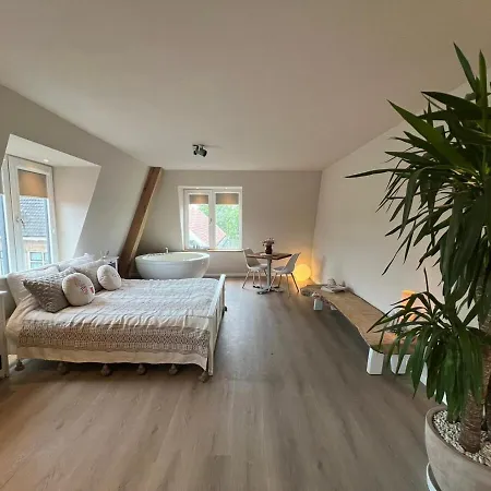 Luxury With Sauna, Bath And Cinema Private Bodegraven