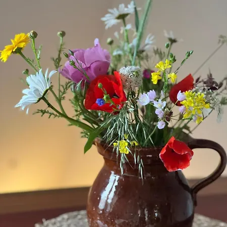 Luxury With Sauna, Bath And Cinema Private * Bodegraven