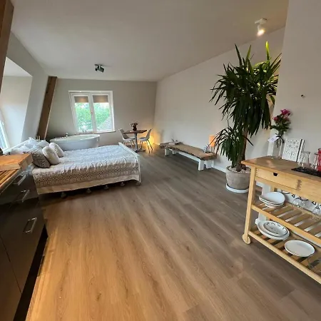 Luxury With Sauna, Bath And Cinema Private Apartment