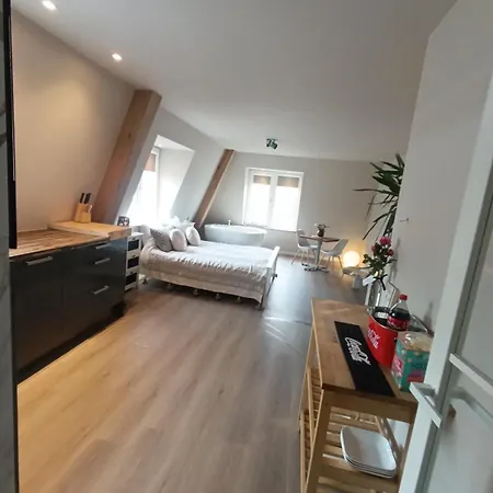 Apartment Stylish With Beamer Near The Station *