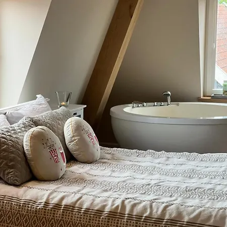 Luxury With Sauna, Bath And Cinema Private Apartment