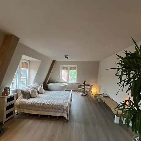 Apartment Stylish With Beamer Near The Station *
