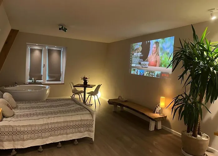 Lejlighed Luxury With Sauna, Bath And Cinema Private Bodegraven