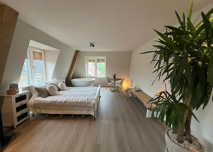 Luxury With Sauna, Bath And Cinema Private Bodegraven