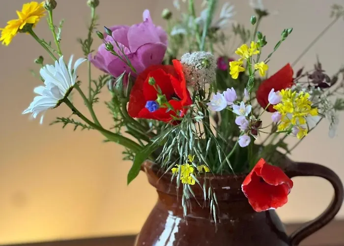 Luxury With Sauna, Bath And Cinema Private * بوديغرافن