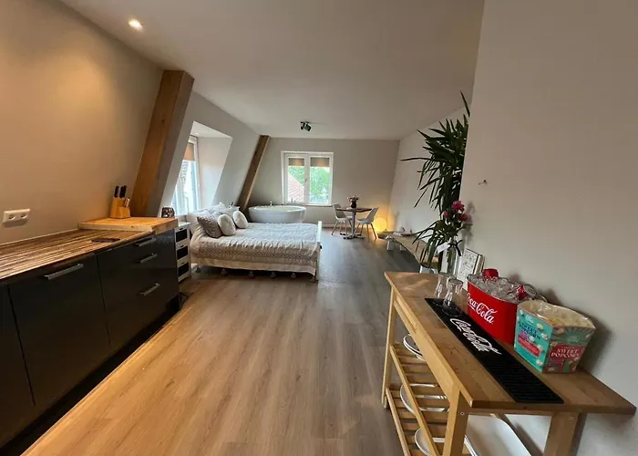 Luxury With Sauna, Bath And Cinema Private * Bodegraven