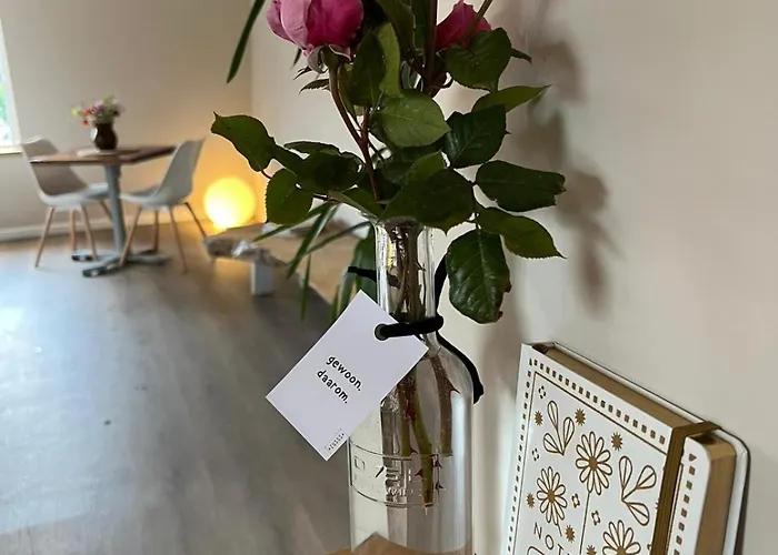 Luxury With Sauna, Bath And Cinema Private