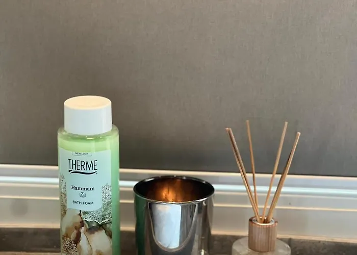 Luxury With Sauna, Bath And Cinema Private Lejlighed *