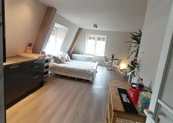 Lejlighed Luxury With Sauna, Bath And Cinema Private *