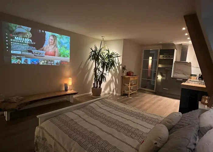 Luxury With Sauna, Bath And Cinema Private *