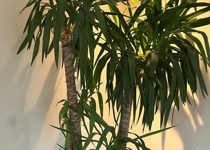 Luxury With Sauna, Bath And Cinema Private * بوديغرافن