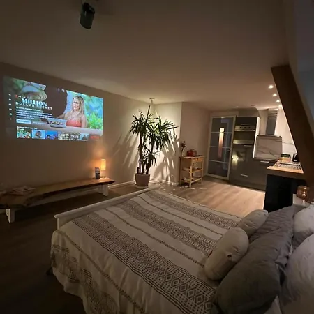 Luxury With Sauna, Bath And Cinema Private *