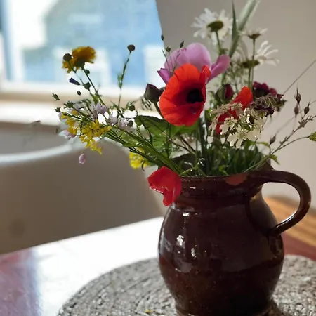 דירה Luxury With Sauna, Bath And Cinema Private בודחרייבן