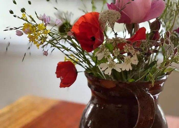 Luxury With Sauna, Bath And Cinema Private *